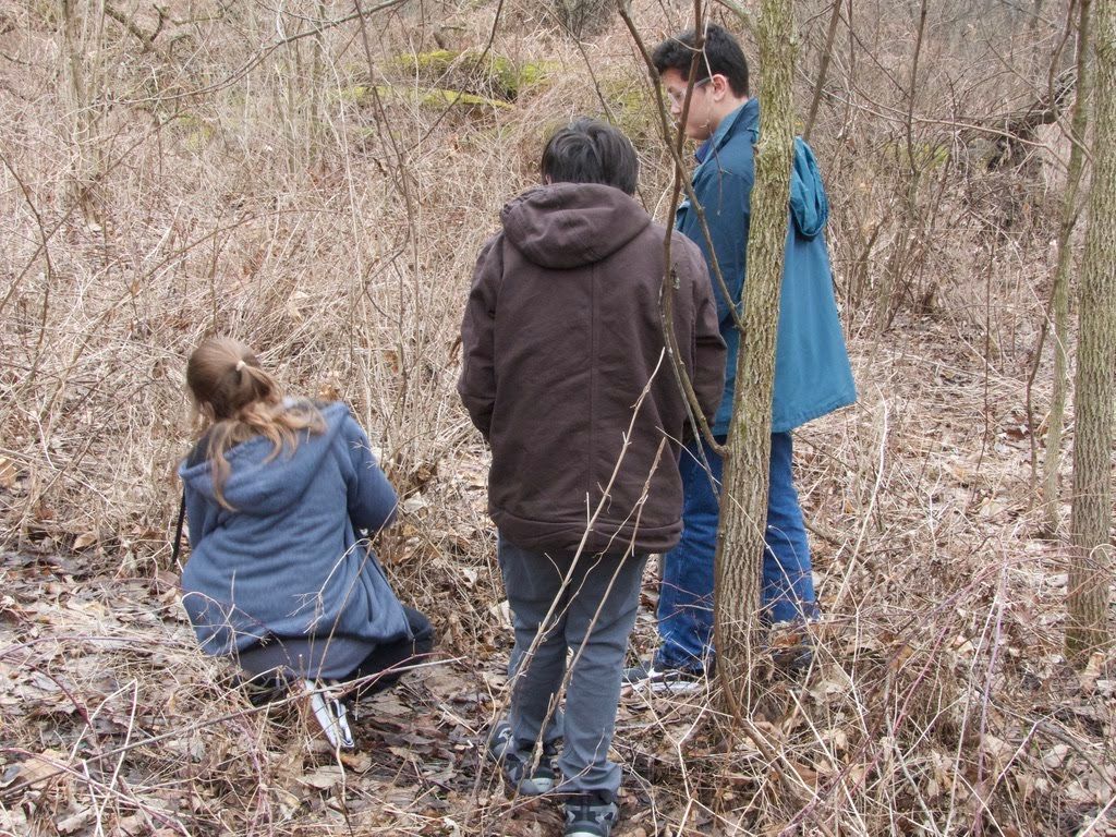 Three teens standing in dead brush. One teen has long hair, is wearing a gray jacket, and is kneeling on the ground with their back to the camera. Another two teens are standing and watching. One is wearing a brown jacket and has their back completely turned to the camera. The third teen is wearing a blue-green jacket and is standing in profile behind a young tree.