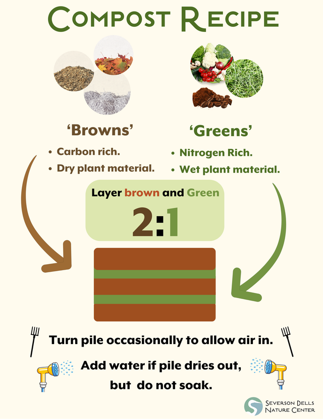 What Are The Layers Of Compost