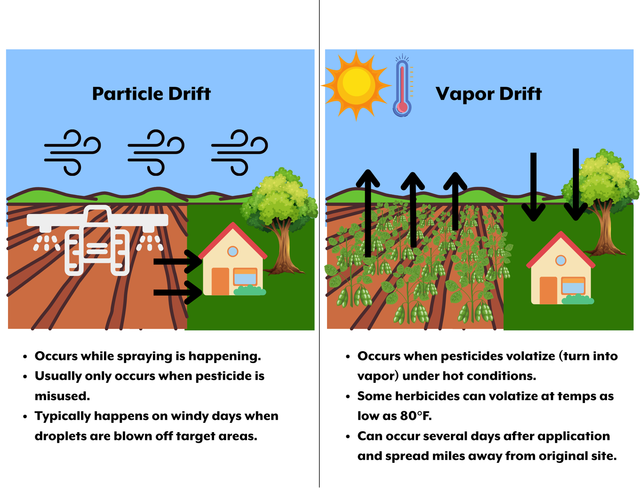 Herbicide Injuries in Our Natural Areas