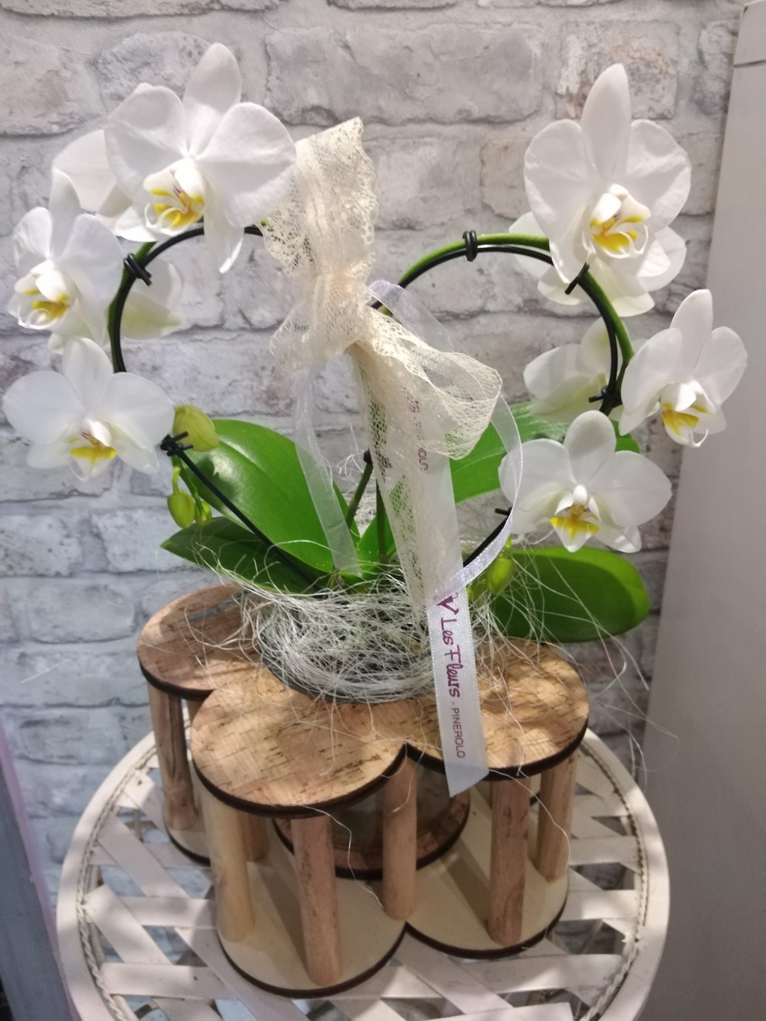 orchidee