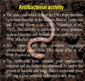 Antibacterial activity of Eisenia fetida andrei coelomic fluid