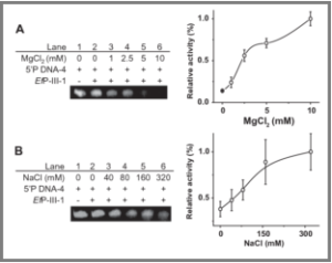 Earthworm Protease chart
