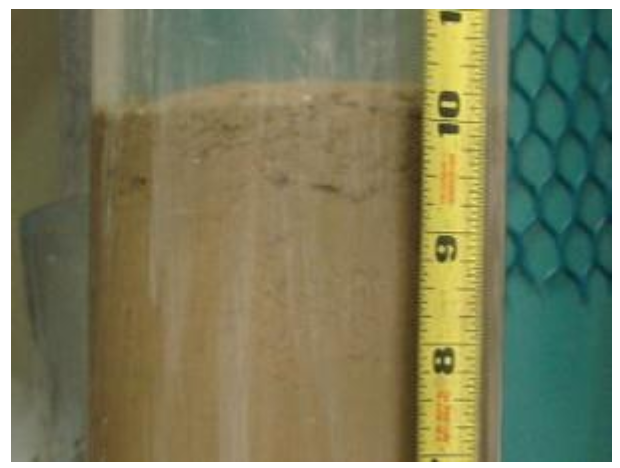 2 inch thick oily sedements