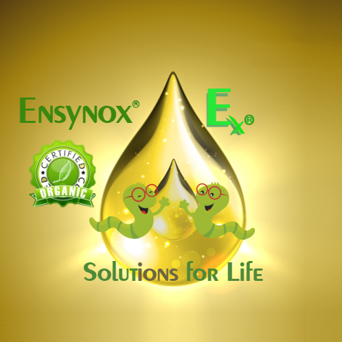 Ensynox solutions for life