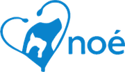 noé ambulatorio medico logo