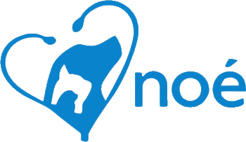 noé ambulatorio medico logo