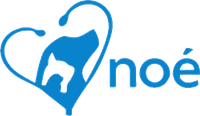 noé ambulatorio medico logo