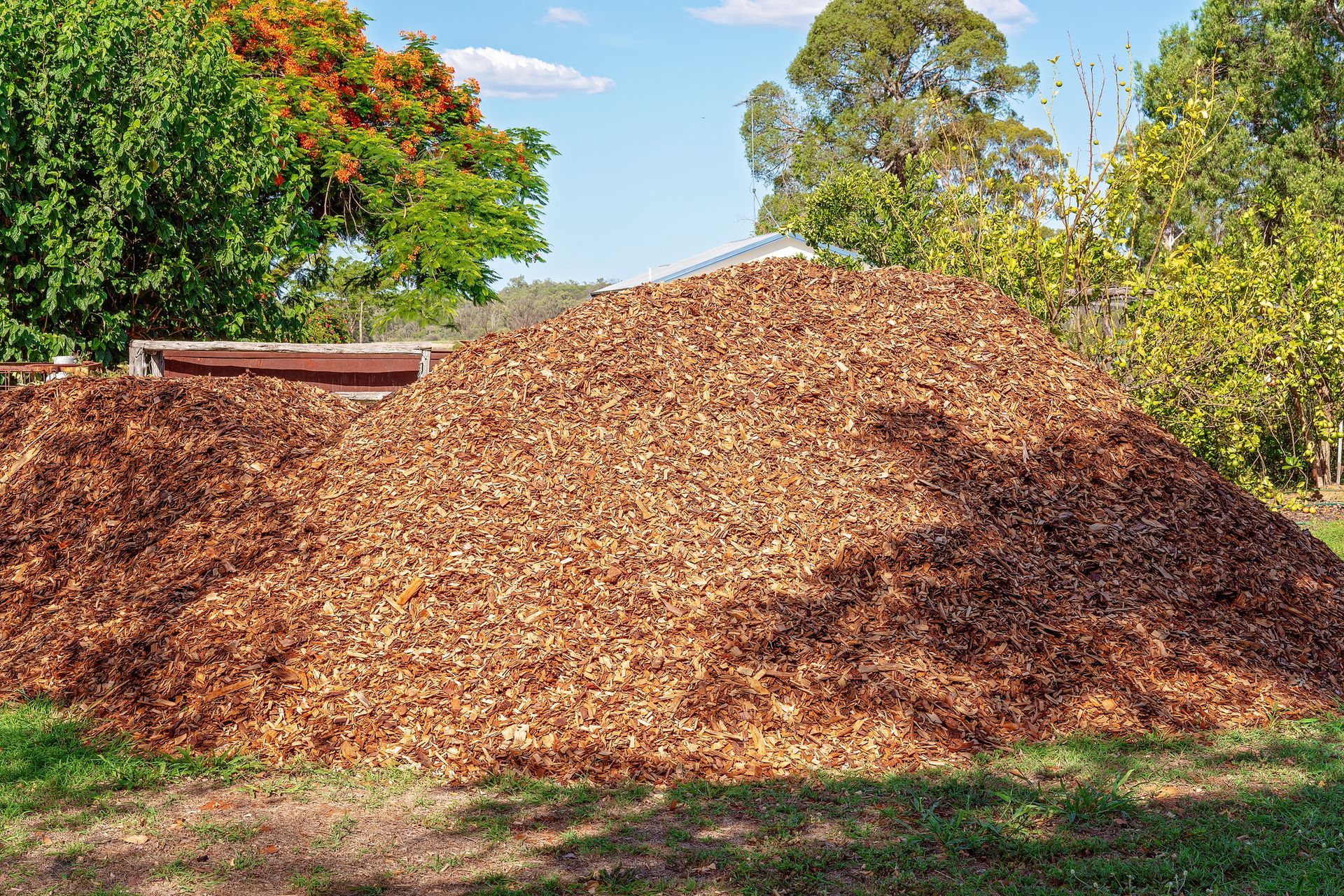 Wood Chipping Services in Sebastopol, CA