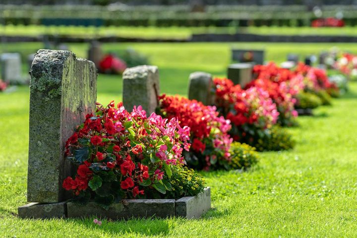 A cemetery filled with graves and flowers on a sunny day.