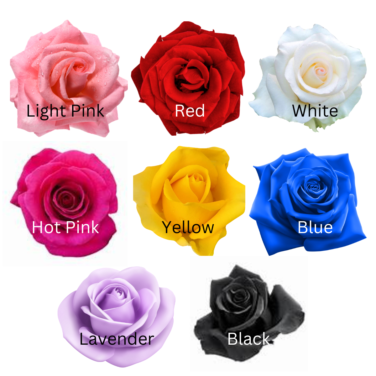 I ❤️ U Boxed Roses