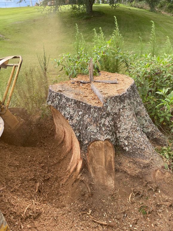 A tree stump is being removed by a machine in a yard.