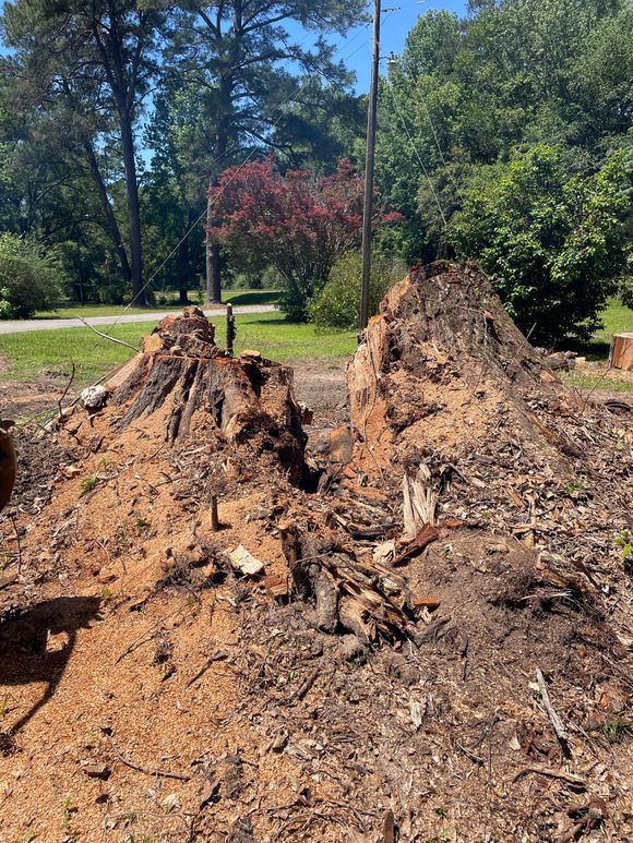 A large pile of tree stump in a field with trees in the background.