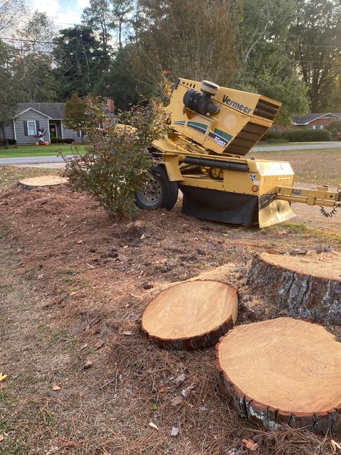 A stump grinder is cutting a tree stump in a yard.