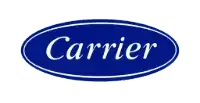 Carrier logo: white text in a blue oval.