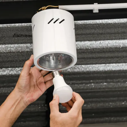 Grounded Electric - A person is changing a light bulb in a ceiling light.