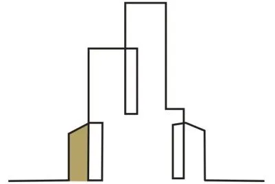 ליאב אברהם | יזמון והשקעות בע