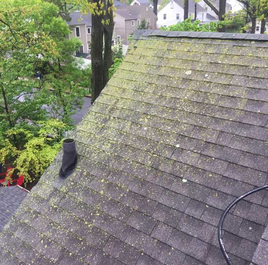 Rooftop before cleaning — Pressure Cleaning Services in Englewood, NJ