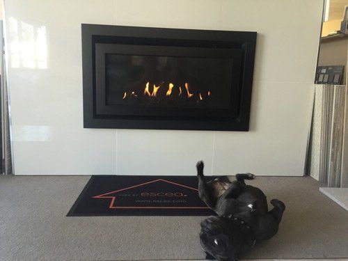 Escea Gas fireplace