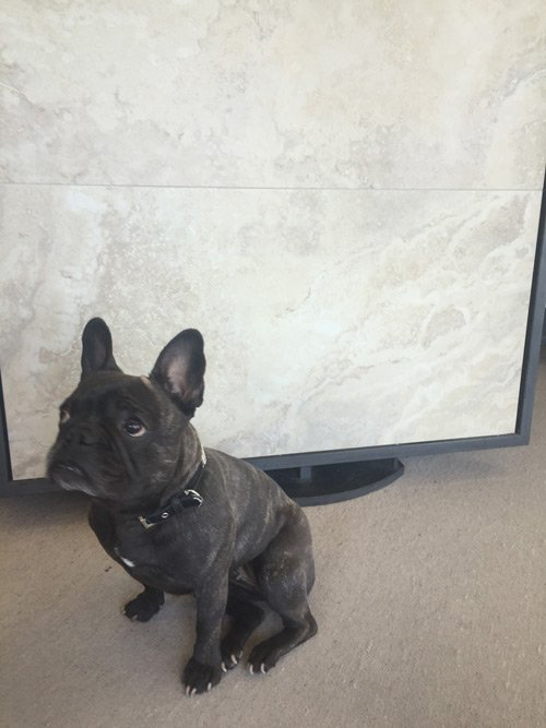 Floor Tiling with a difference