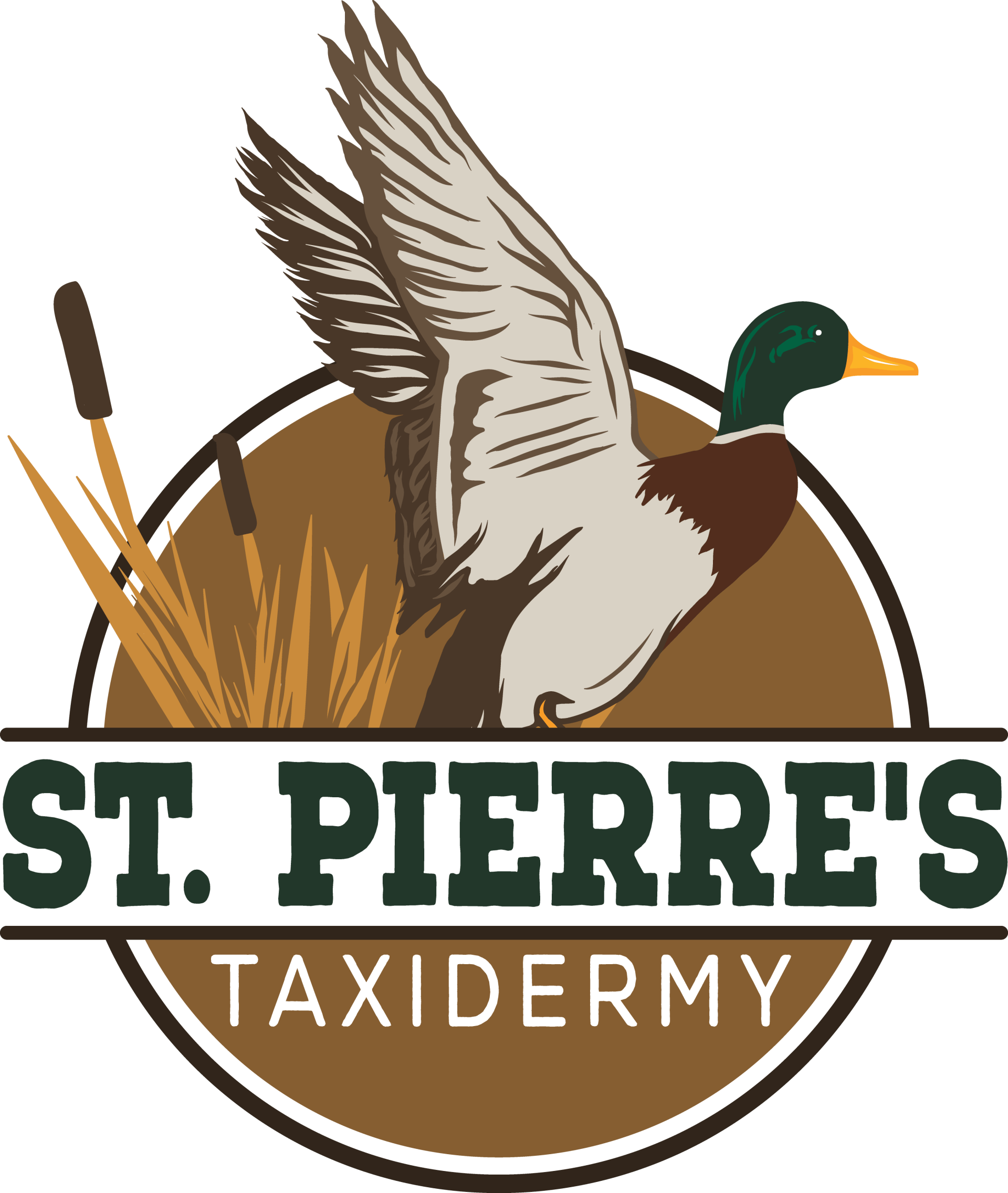 St. Pierre's Taxidermy