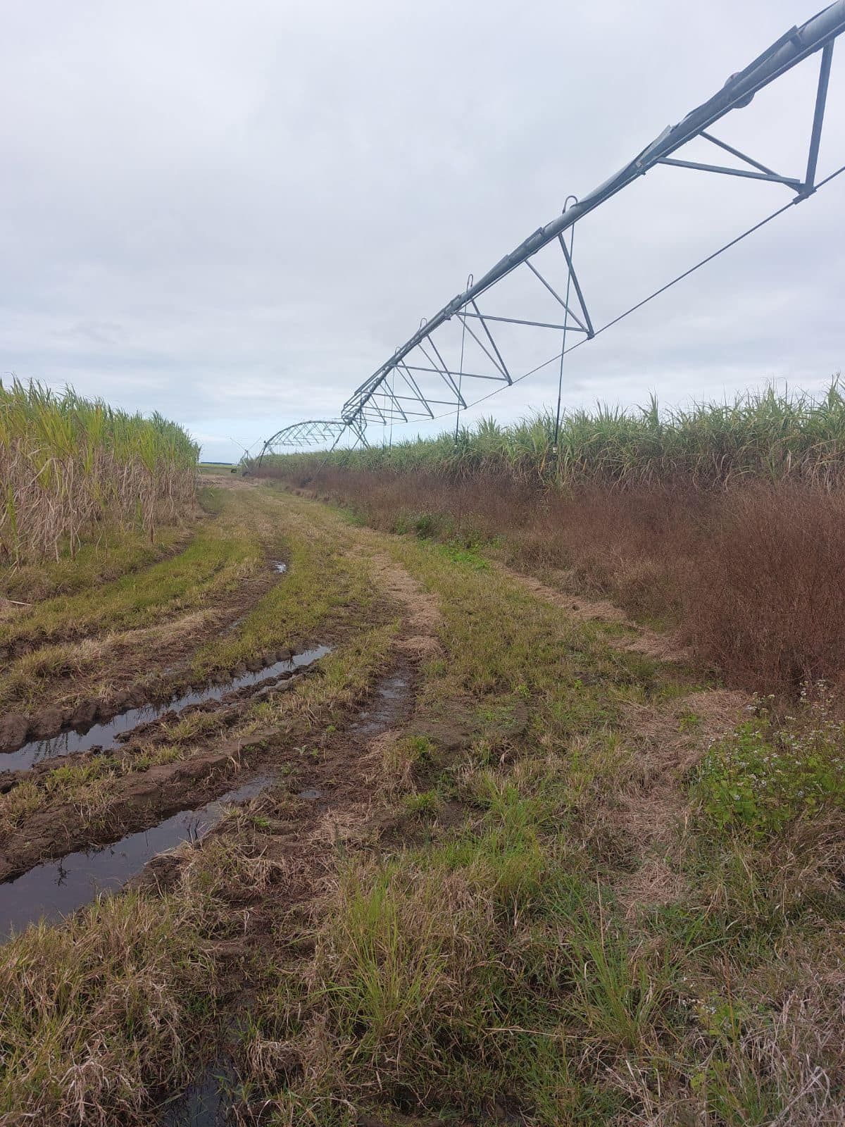 Irrigation System In The Middle Of A Field — Johnny Farming Company In Ooralea, QLD