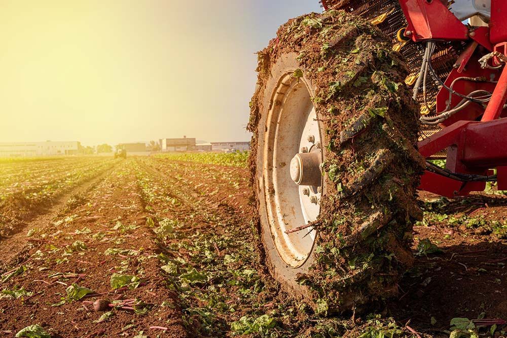 A Close Up of a Tire of a Tractor in a Field — Johnny Farming Company In Ooralea, QLD