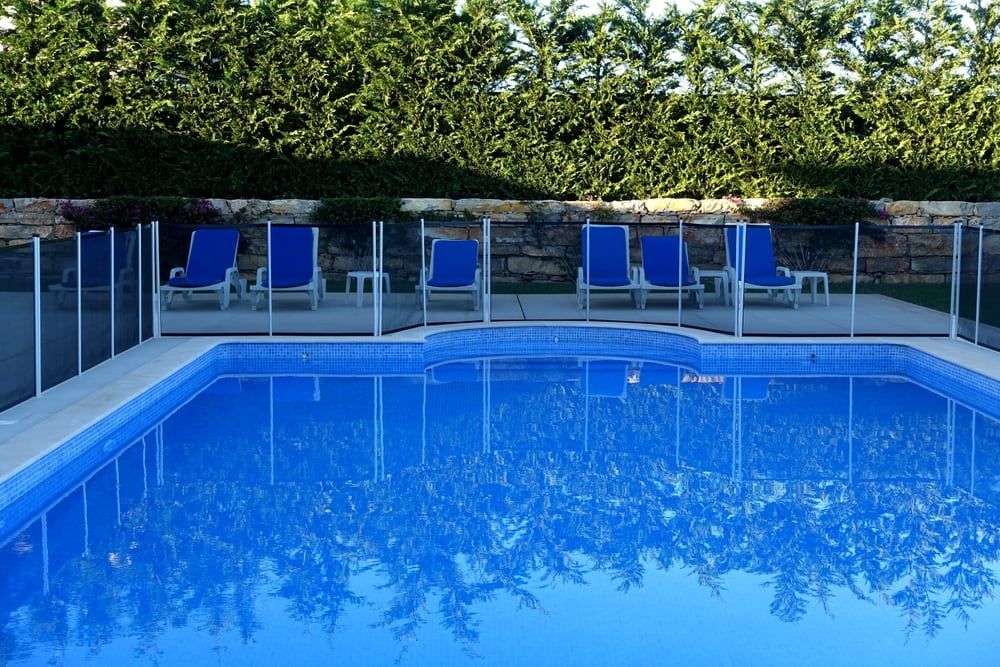 Blue tiled swimming pool with clear safety fence, surrounded by lounge chairs and greenery. — Gympie Fence Inspections in Glenwood, QLD
