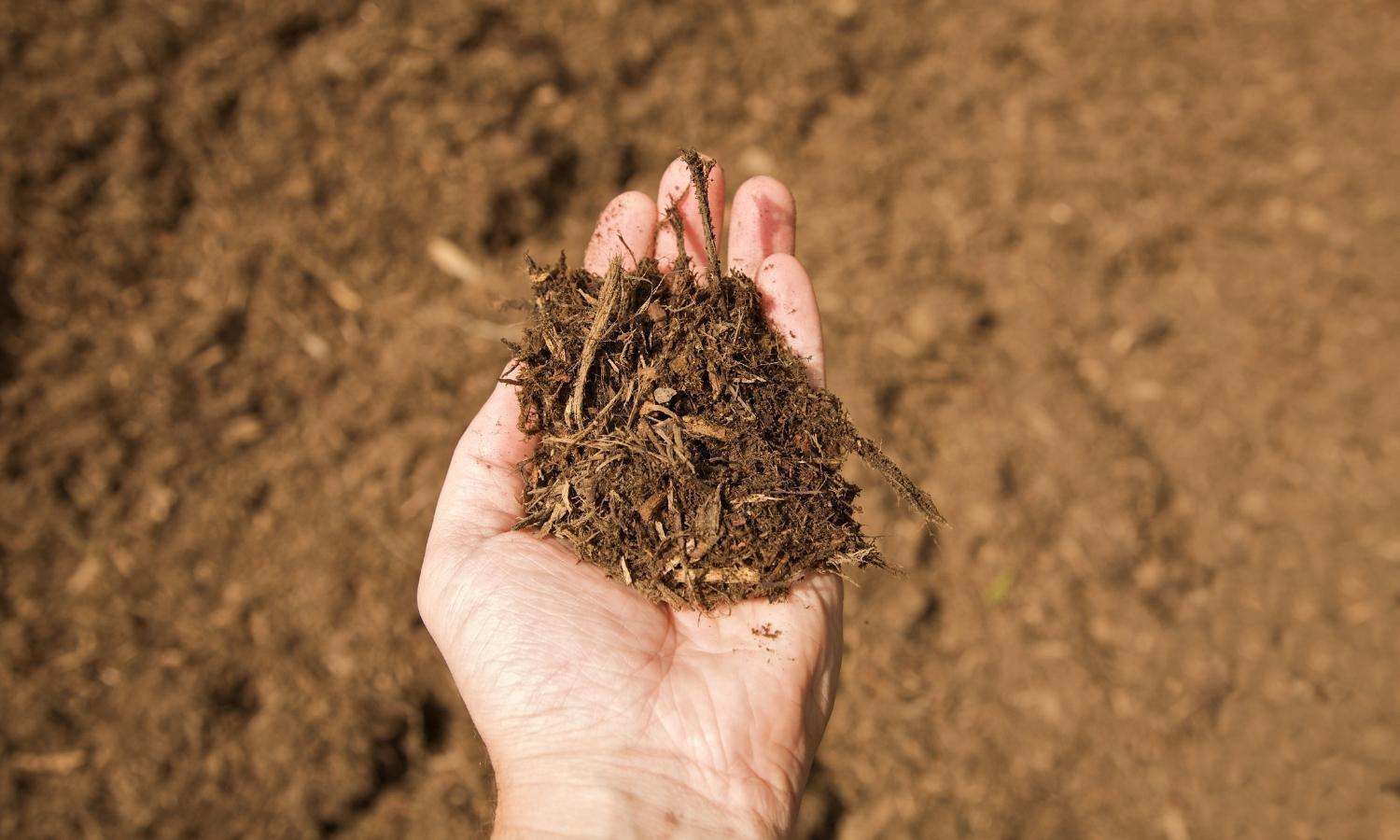The Science Behind Mulching