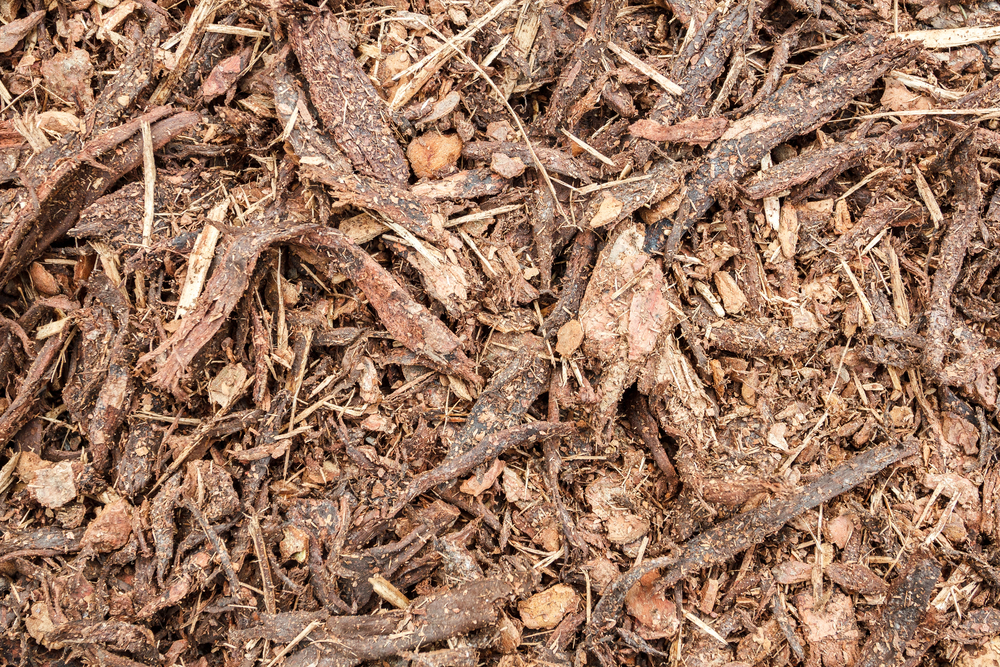 Forestry Mulching benefits