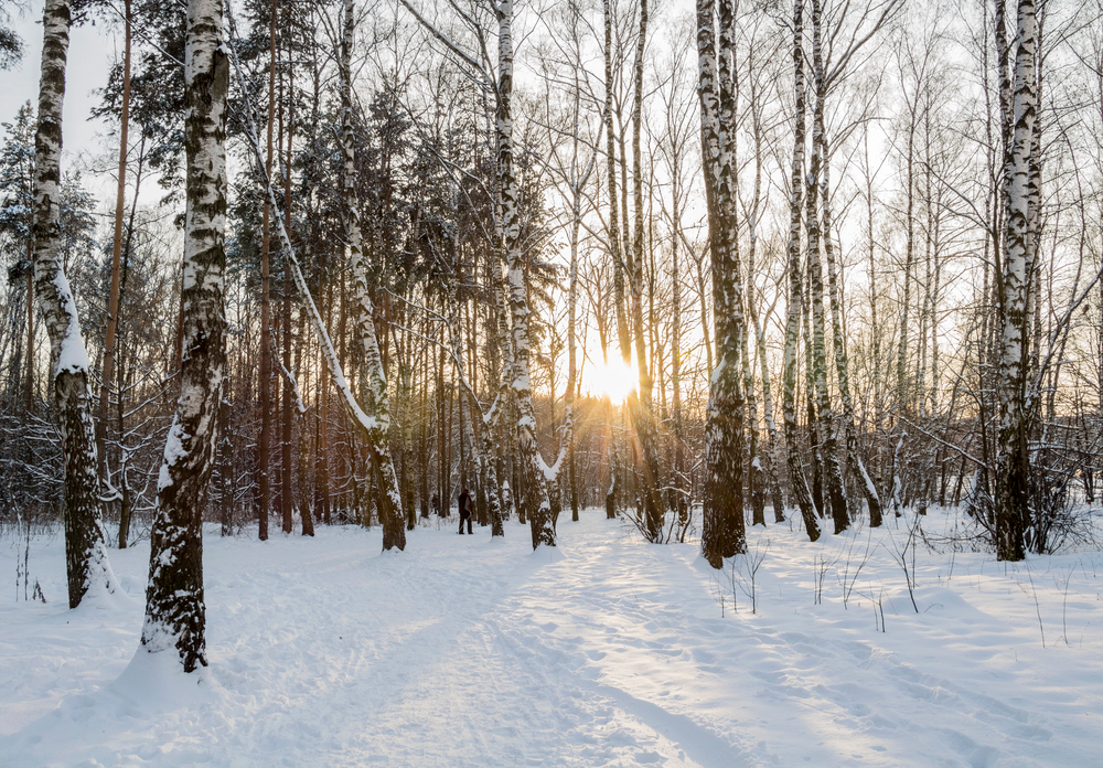 Land Preparation for Winter