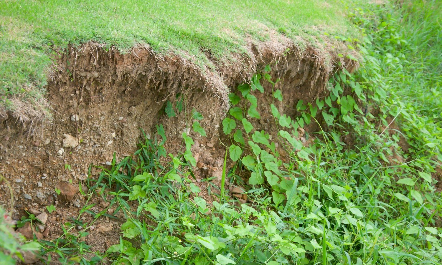 Importance of erosion control