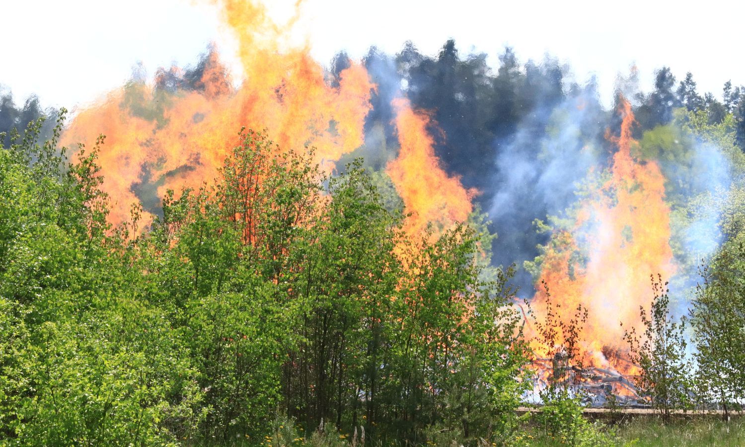 Reducing Fire Risk on Your Land