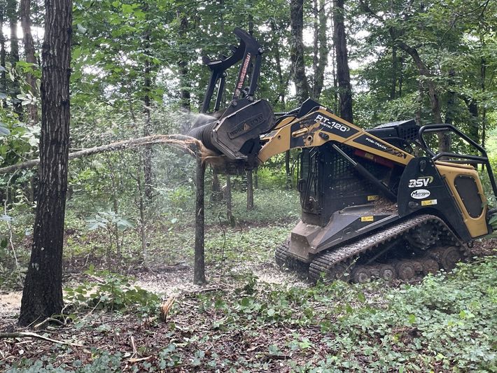 In Process - Forestry Mulching