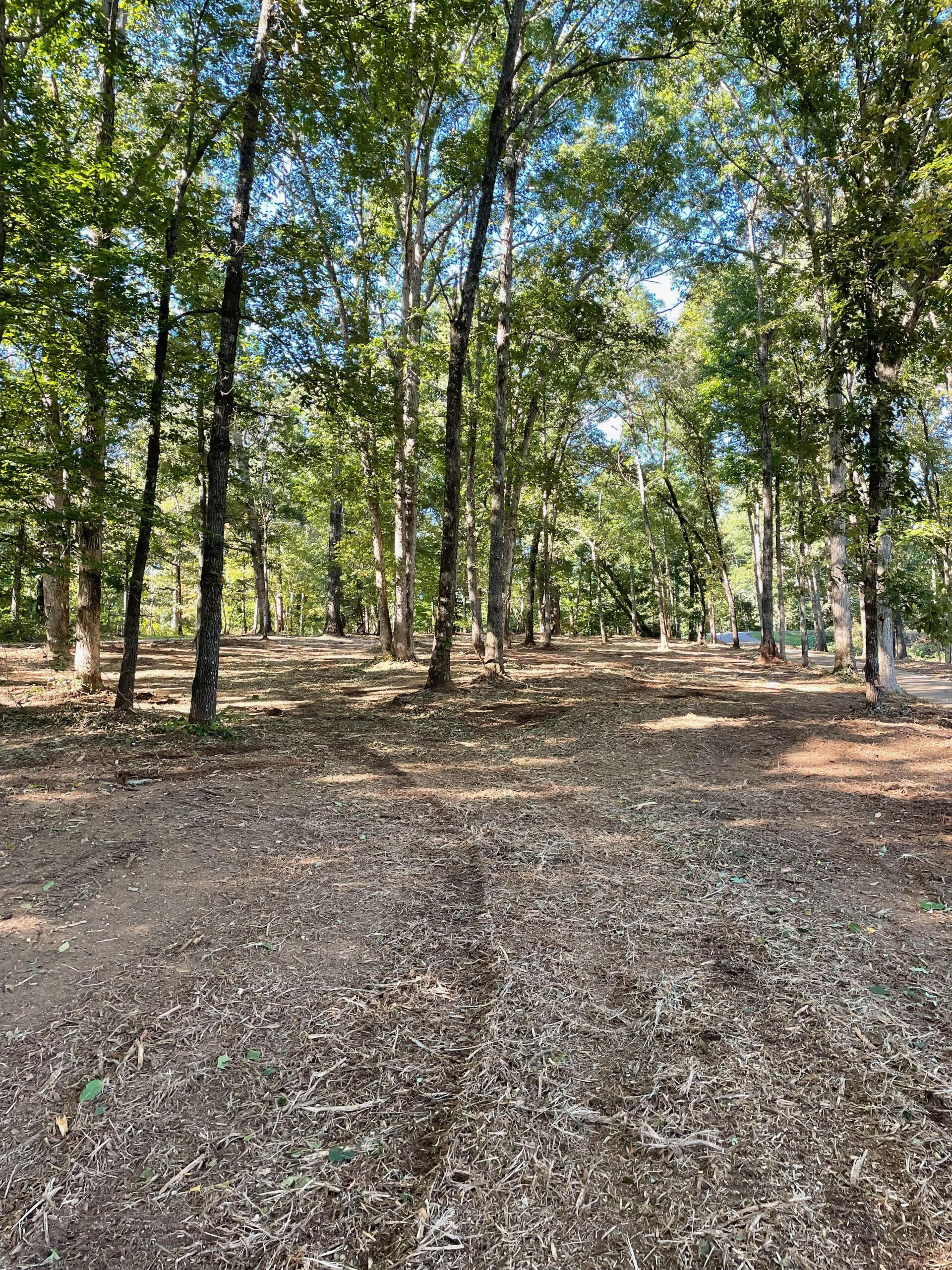 forestry mulching service