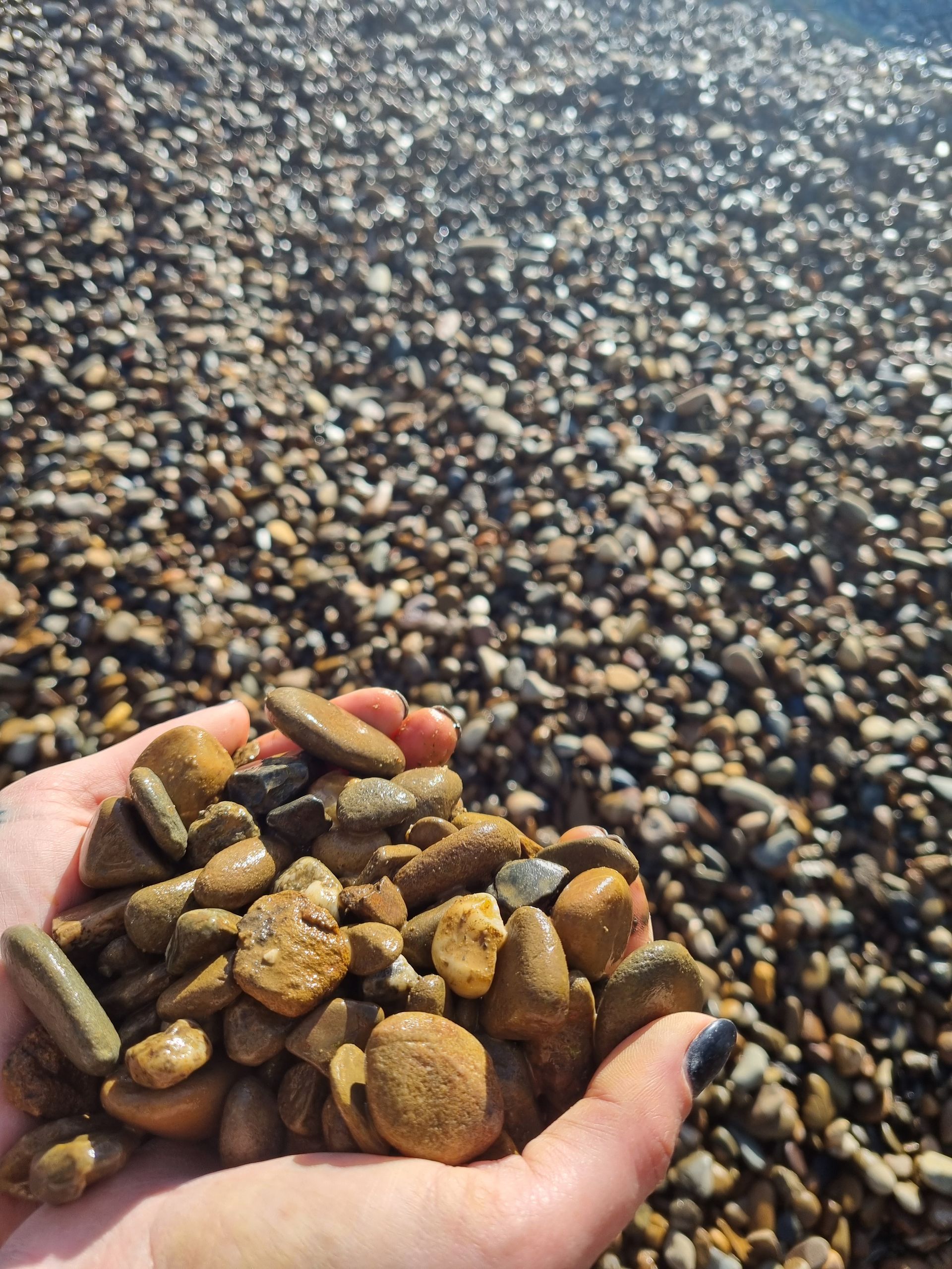 20mm River Pebbles — Landscaping Materials In Albion Park, NSW