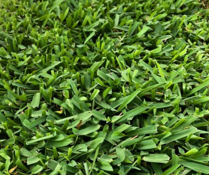 Turf Rolls In The Backyard — Landscaping Materials In Albion Park, NSW