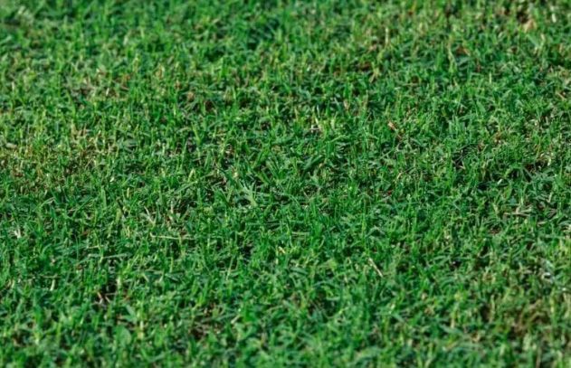 Tahoma 31 — Landscaping Materials In Albion Park, NSW