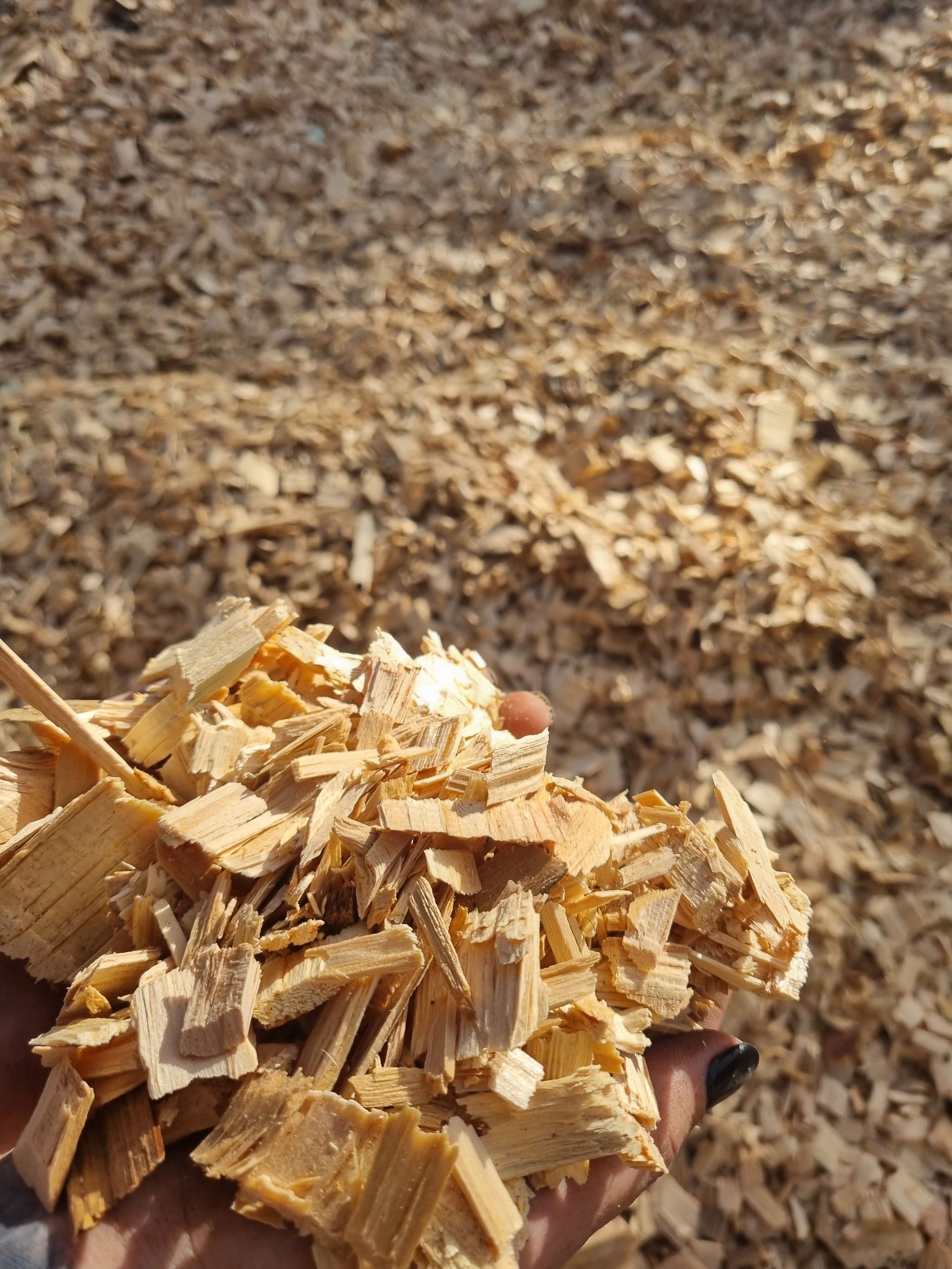Woodchip — Landscaping Materials In Albion Park, NSW