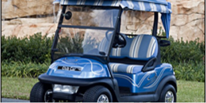A blue golf cart with a canopy parked on the side of the road.