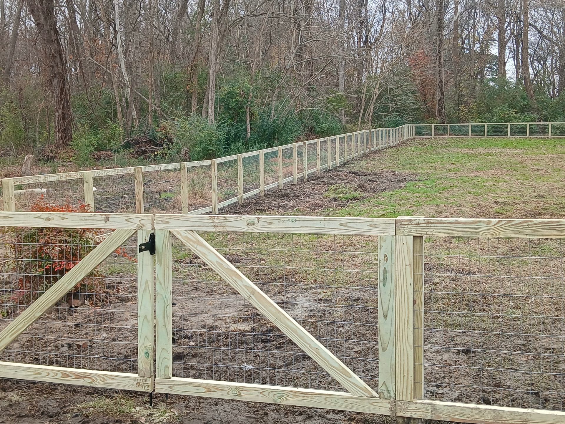 Wooden fence with gate, enclosing a grassy area with trees in the background.