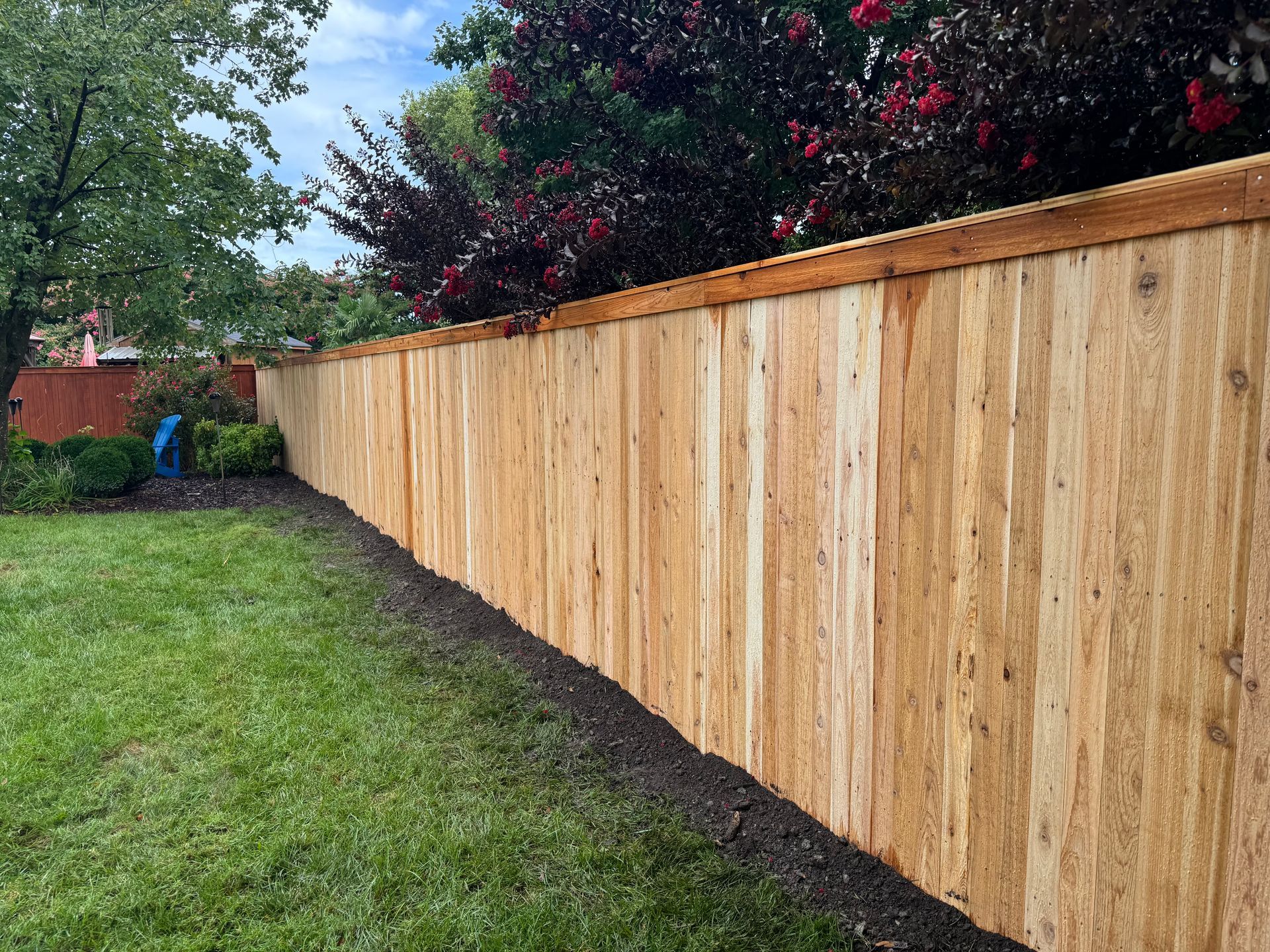 Wooden fence along a grassy lawn with a tree and foliage in the background.