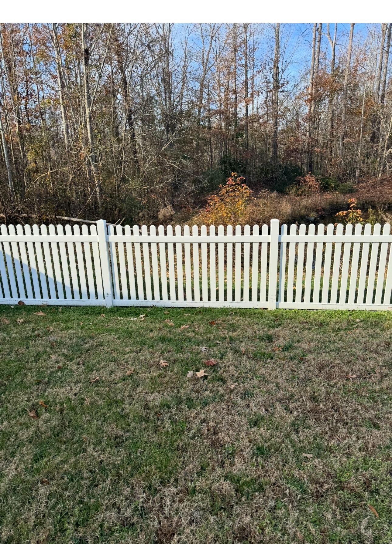 White picket fence in front of grass and a backdrop of trees with fall foliage.