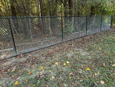 Chain-link fence in a wooded area; green metal posts and chain-link, on the ground fallen leaves and dry grass.