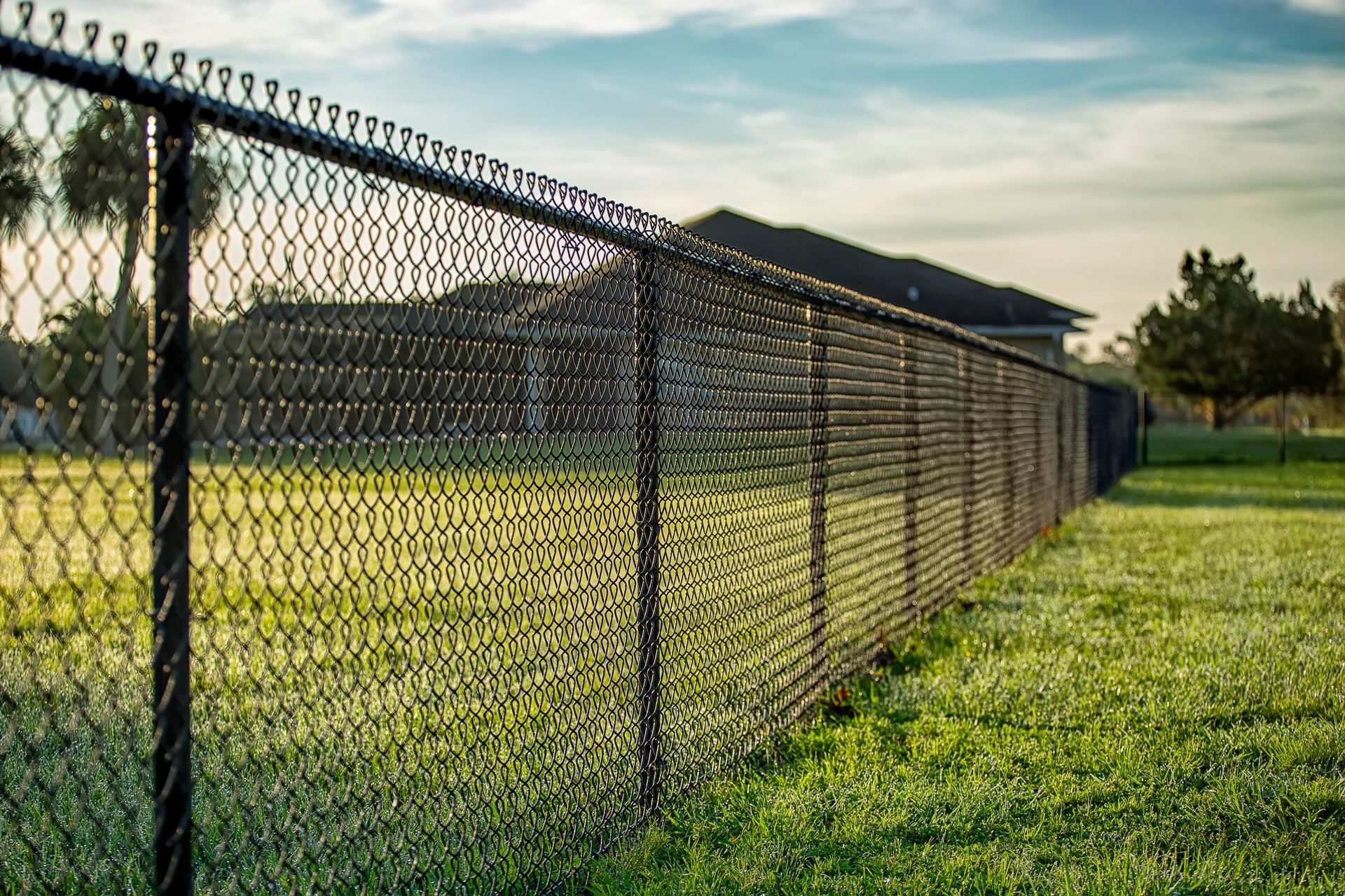 Black chain-link fence on green grass, a house in the background, under a blue sky.