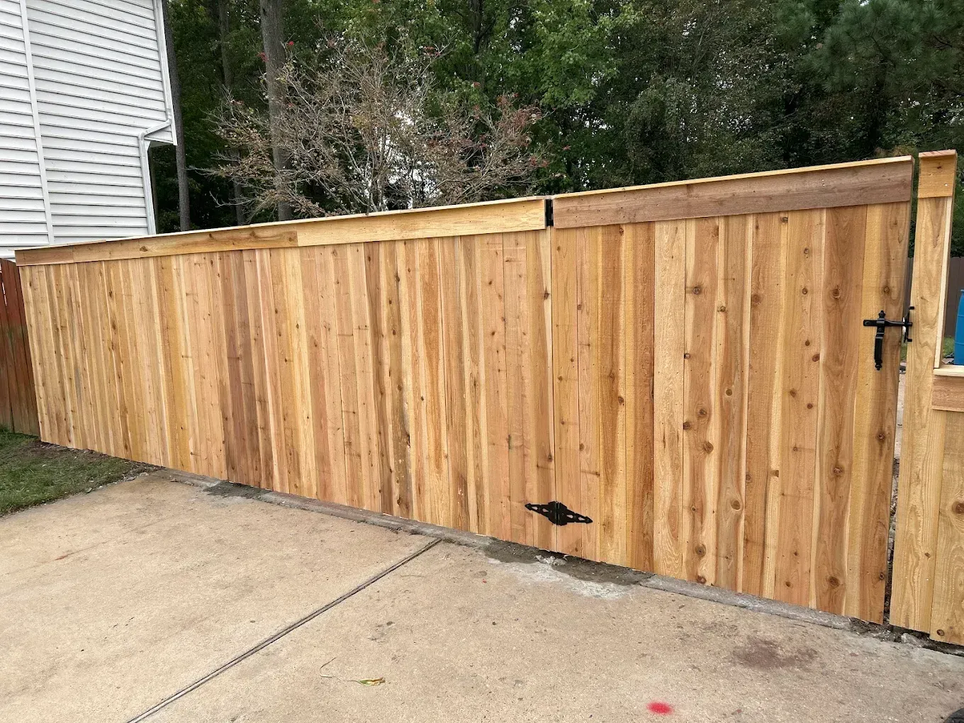 Wooden fence with a gate, on concrete, leading into a yard with trees.