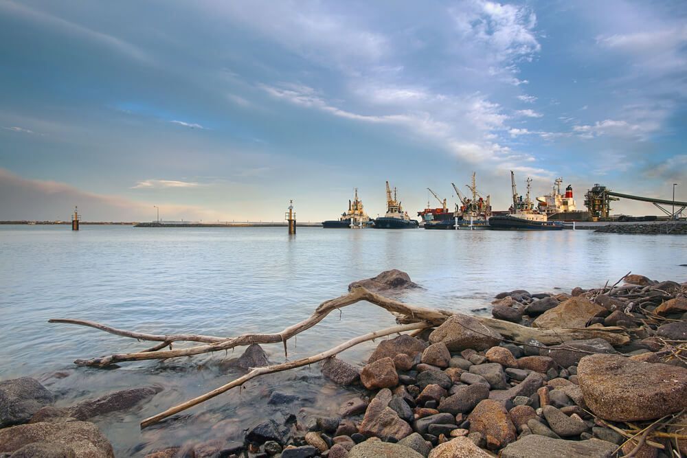 Many Ships and Boats Docked at the Port — Tradewind Building Maintenance in Wollongong,NSW
