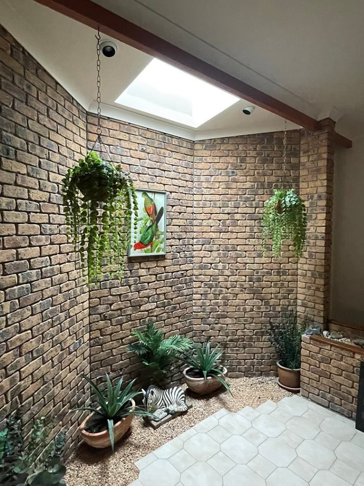 A Room with A Brick Wall, Potted Plants and A Skylight — Tradewind Building Maintenance in Austinmer,NSW