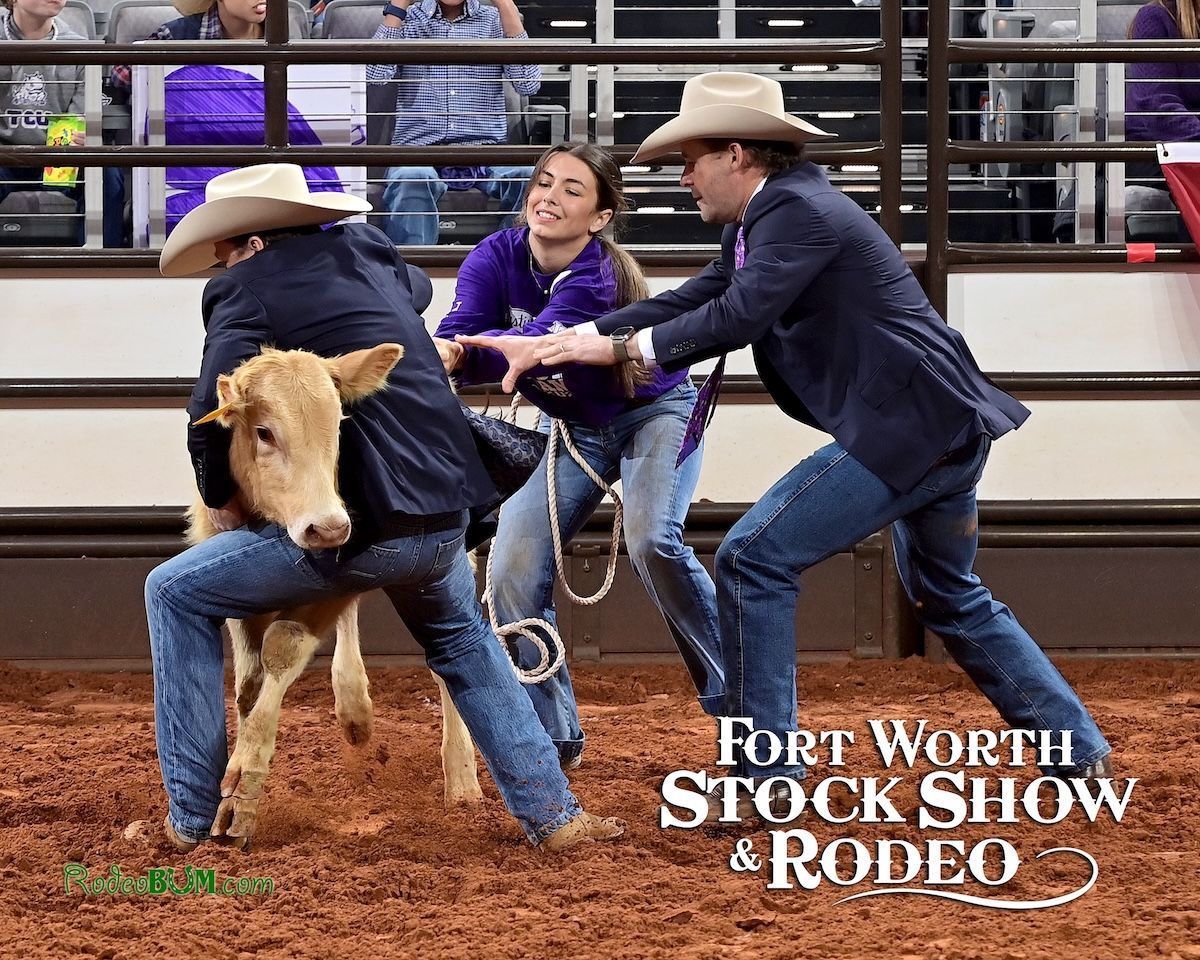 Fort Worth Stock Show and Rodeo Calf Scramble