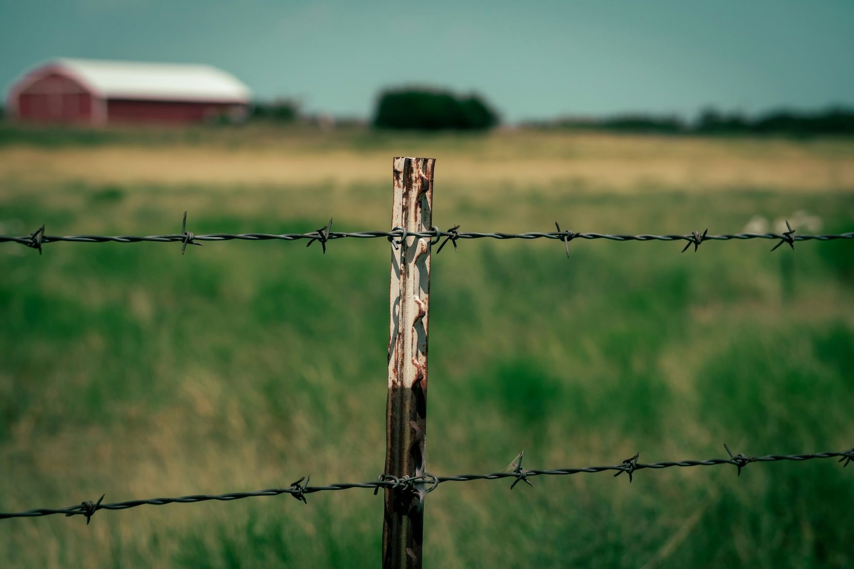Photo provided by RattikinLaw in Fort Worth, Texas. Photo shows barbed wire fence on a farm. No text