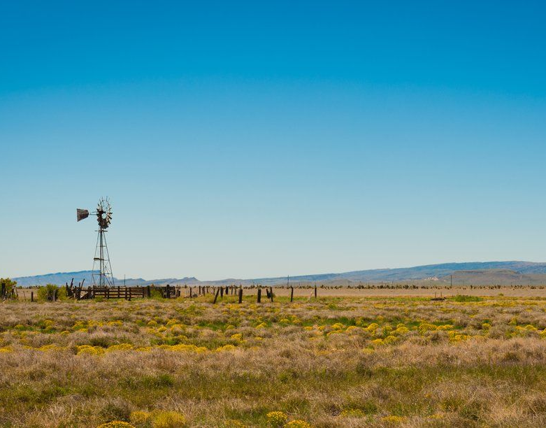 A vintage metal windmill stands in a vast, dry, golden-yellow prairie under a clear, deep blue sky.